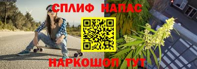 бошки Тара