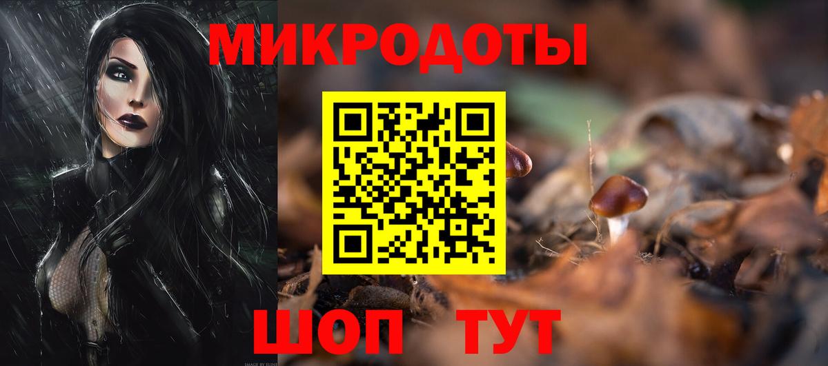 Псилоцибиновые грибы Psilocybe Астрахань